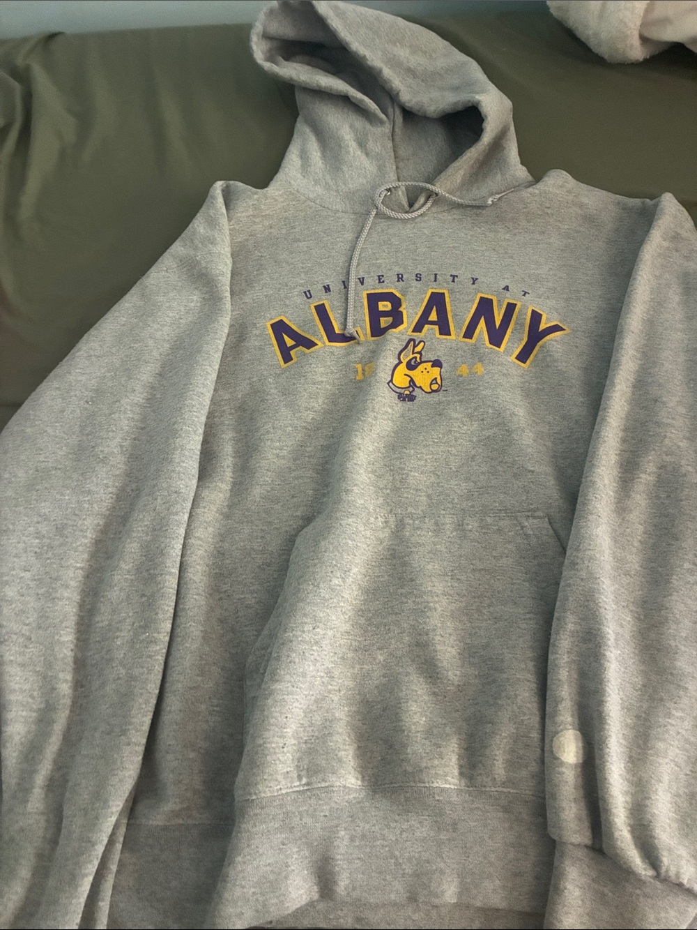 Ualbany Champion Gray Crewneck Hoodie with Albany Purple & Gold Logo